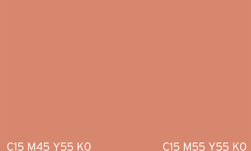 skin_2
